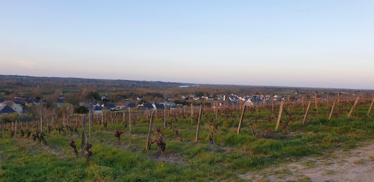 Clos Sainte Catherine Rochefort-sur-Loire Екстериор снимка